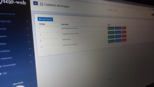 Grupos e Subgrupos do Relatório da Educação Infantil